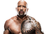 *The Rock1_m*
